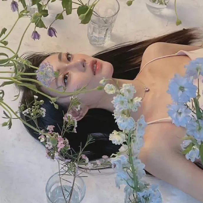 志愿军：浴血和平